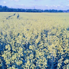 Green Requiem - Joe Hisaishi - Piano Cover