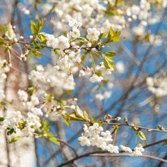 fucking up (prod. ikari)