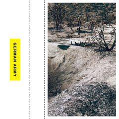 Allocations Of The American Nile