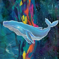 The Breach of the Void Whale