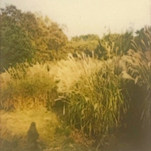 Dialogue with myself-20240101
