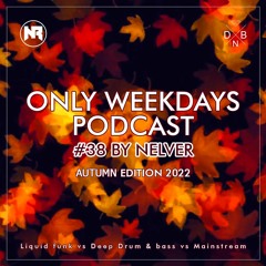 ONLY WEEKDAYS PODCAST #38 (AUTUMN EDITION 2022) [Mixed by Nelver]