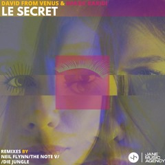 PREMIERE: David Garcet & Baridi Baridi - The Secret (Neil Flynn Remix) [Jane Music Agency]