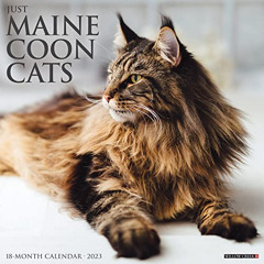 [Access] PDF 💗 Just Maine Coon Cats 2023 Wall Calendar by  Willow Creek Press EPUB K