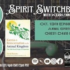 Spirit Switchboard Welcomes David Barreto, Karma, Reincarnation, For Animals, Oct 12 2023
