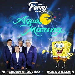 100 - 109 Agua & Ni Perdon Ni Olvido (Mashup) [ Dj Ferny 2020 ] DESCARGA FREE EN LA DESCRIPCION
