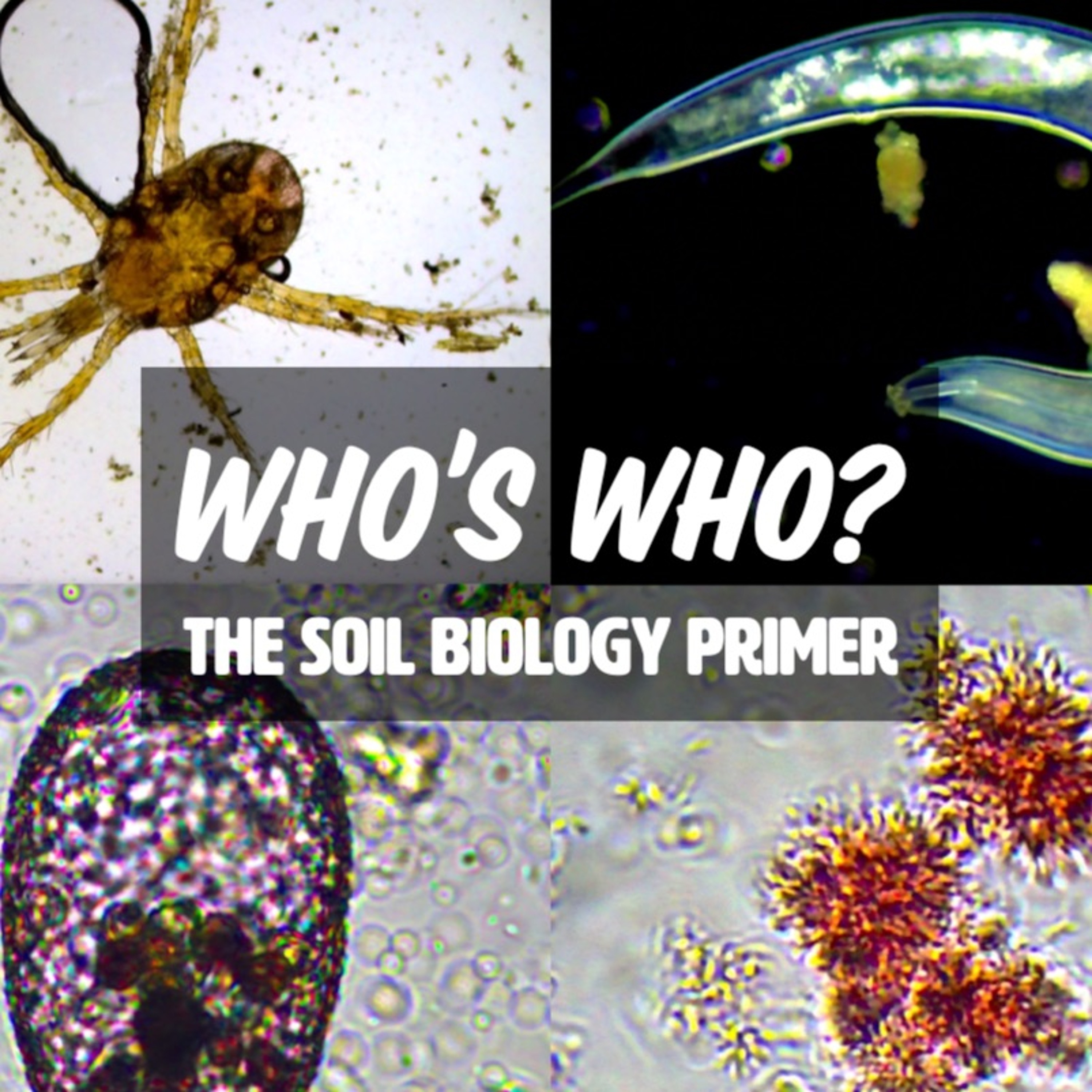 Ep. 182 | Who's Who? The Soil & Compost Biology Primer OPENING