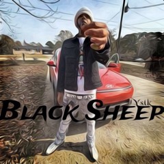 Black Sheep