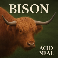 Acid Neal - Bison