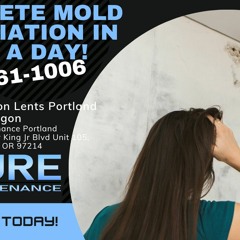 Mold Remediation Lents Portland Oregon - Pure Maintenance Portland - 503-461-1006