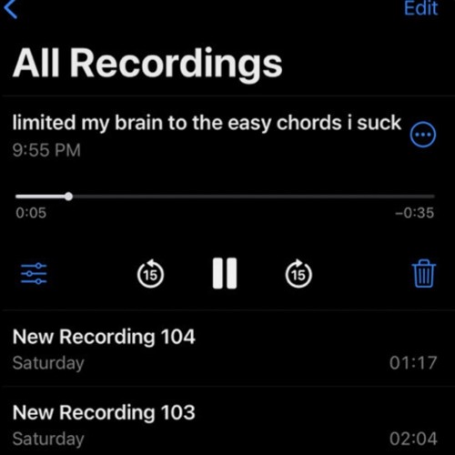 cant even do that shit correctly.mp3