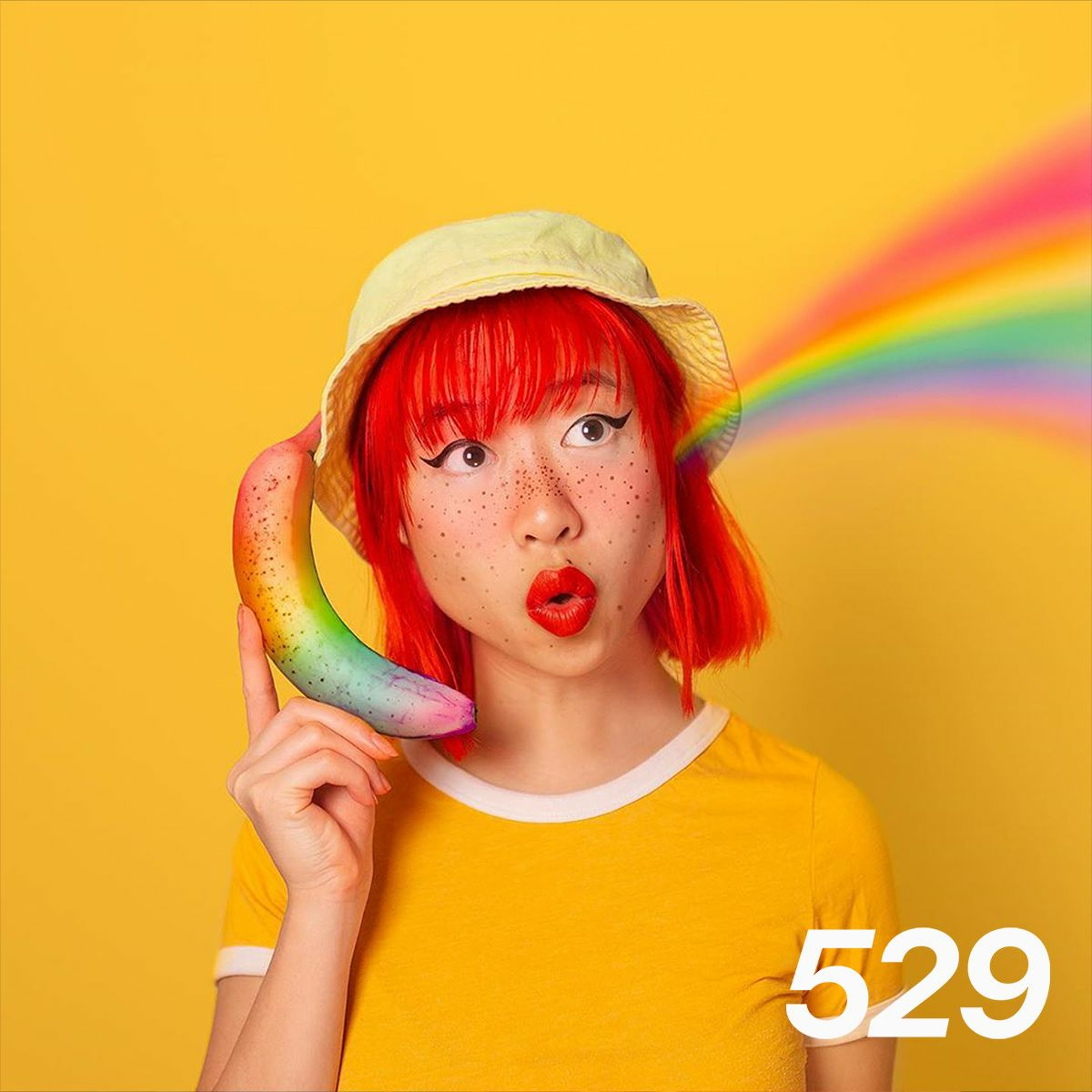 529 Podcast