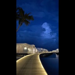 GOOD NIGHT  by (Adrian)