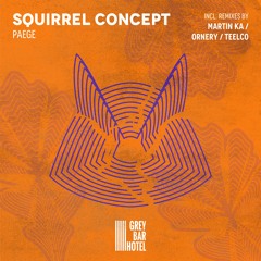 Paege - Squirrel Concept (Ornery Remix)