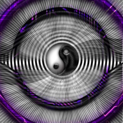 ☯️