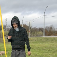 Fien prod. svlemthecat