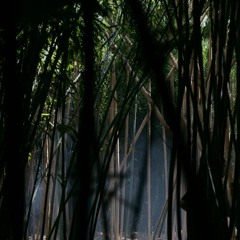 LOST Music Festival 2023