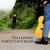 Artwork for Forty Foot Road