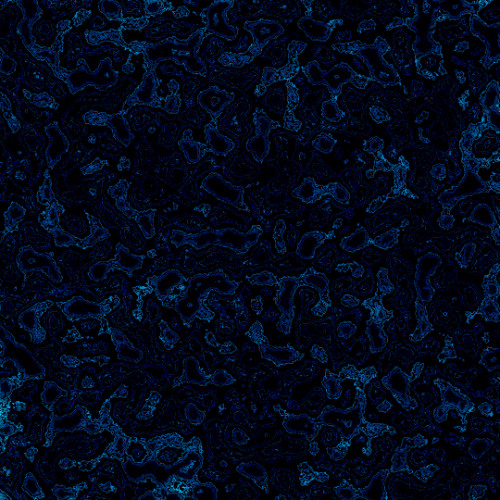 alnitak alnilam mintaka :: 22.12.2024