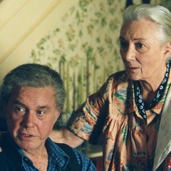 CheapeX- Robbery Remix