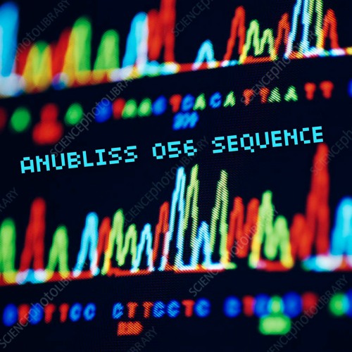 056 SEQUENCE