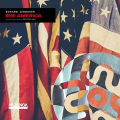 Bokard, DigBaker - Bye America (Original Mix) | FREE DOWNLOAD