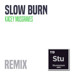 Slow Burn_Kacey Musgraves (Stewedelic 37sub Remix)