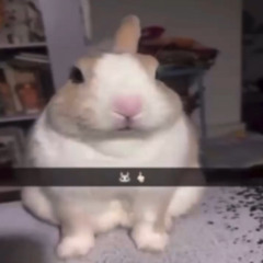 The Best I Got