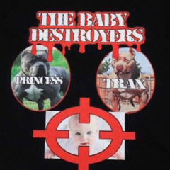THE BABY DESTROYERS FEAT. INETWALKER666 PROD. KRXXK