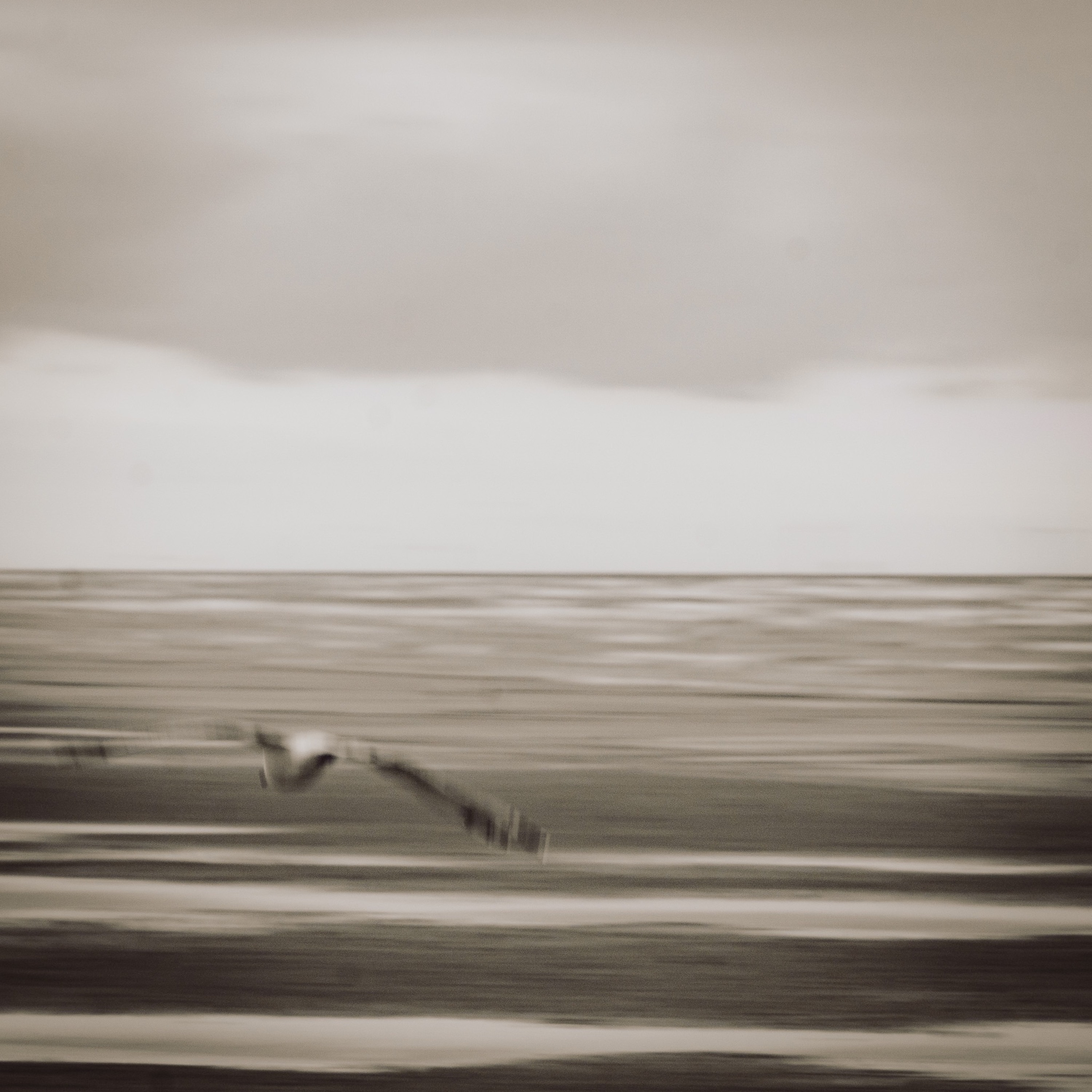 Uncoil Into The Ocean episode artwork