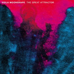 The Great Attractor