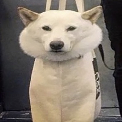 Ice Spice - Munch x Machine Girl - Ghost