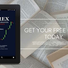 Forex para Principiantes Ambiciosos: Una guía para el comercio exitoso de divisas (Spanish Edit