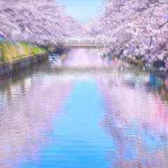 融解（feat.夢ウ勹）