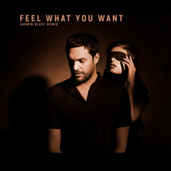 Phonique - Feel What You Want feat. Rebecca (Jasmin Blust Extended Rемiх)