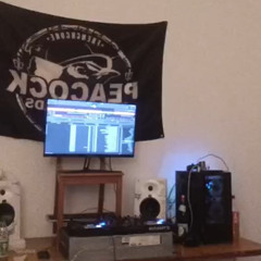 Minimal Progressive Techno - Frühlingsmixdown SarahLine & Qlubcore #Ode an Olli's Tracks