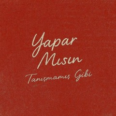 YAPAR MISIN?