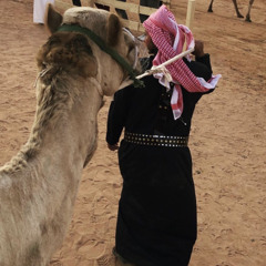 ياللي لياجيت شيٍ تكمل اوصافه❤️