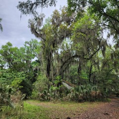 dvrst- dream space (slowed and reverb)