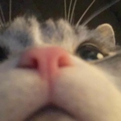 weiland - famous (speedup & remastered)