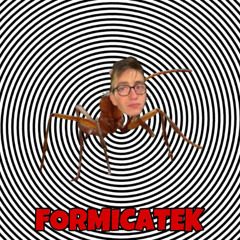 FORMICATEK
