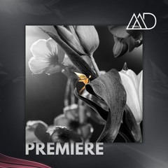 PREMIERE: Deciduous - Ecosystem (Original Mix) [Astral Records]