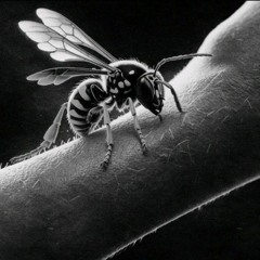 Wasp - SKARS