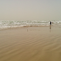 Kites