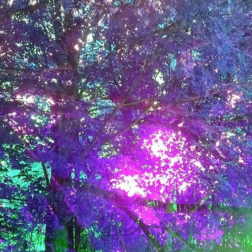 Radiant One