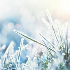 Frozen Forest(Royalty Free Music)