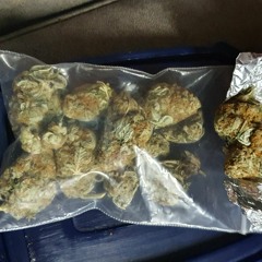 Nothinks Going Right Freestyle