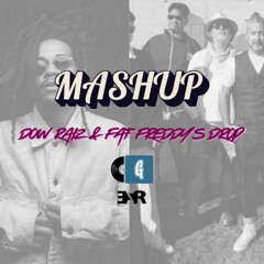 Dow Raiz x Fat Freddy's Drop