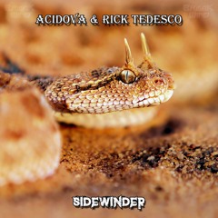BWP067 : Acidova & Rick Tedesco - Sidewinder