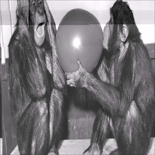 Stream Ecci̇ Cry Dancing By Ecci̇ Listen Online For Free On Soundcloud